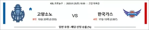 로얄스포츠 스포츠분석