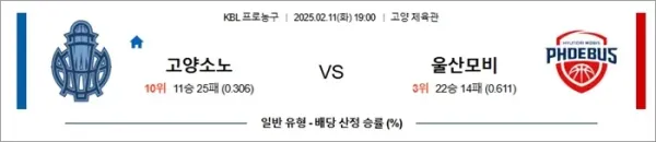 로얄스포츠 스포츠분석