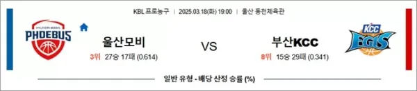 로얄스포츠 스포츠분석