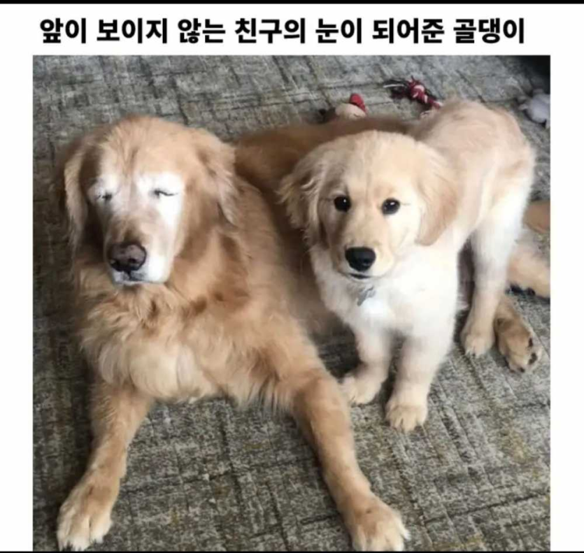 1f74d9eda8e2801e633dd6c1cb1bfcd9_1758886376_2241.png